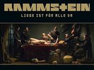 RAMMSTEIN Liebe Ist Fur Alle Da 2LP Pink Vinyl UK Pressing LTD Only 960 Made