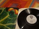 Catapilla changes PROG PSYCH LP german vertigo swirl