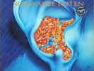 Die Skeptiker - Schwarze Boten, Vinyl, DDR, die anderen bands