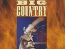 BIG COUNTRY Through A Big Country VINYL LP Greatest Hits Best of EXCELLENT CONDI