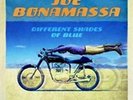 Joe Bonamassa - Different Shades Of Blue  [sta NEW LP
