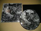 = ARCKANUM - Grimalkinz Skaldi - lim.300 PIC-EP