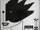 LUDUS THE SEDUCTION 2 X 12