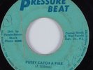 Reggae 45 SOUL BROTHERS/DESTROYERS Pussy Catch a Fire PRESSURE BEAT HEAR