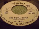 HEAR SLEAZY ROCKER / AL CASEY 