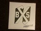 Boston Strangler - Primitive 12