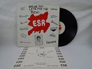 '79 Texas Punk Compilation LP 
