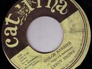 LEROY BROWN/CATURNA Orig ja 45/COLOR BARRIER - DUB VERSION......LISTEN