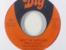 Northern Soul 45   Diamonettes   Don't Be Surprised   Dig   mp3 VG+