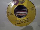 CLASSIC Tamla Motown Dancer martha reeves In my lonely room hear it