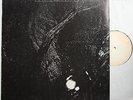 Cocteau Twins The Pink Opaque  Argentina Testpress LP DG Discs