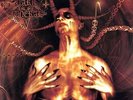 Diabolis Interium - Dark Funeral (2011, Vinyl NUEVO)2 DIS
