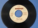 VERY RARE signed 45 RPM vinyl record Point of View Frisco Disco Sundown Records