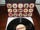 DEDALUS 