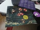 Deep Purple WHO DO WE THINK WE ARE orig. UK LP MINT RARE