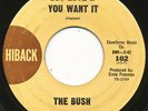 THE BUSH on Hiback --GOT LOVE IF YOU WANT IT-- 60s garage rock 45 | LISTEN
