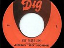 Jimmy Bo Horne - Hey There Jim on Dig (*His personal copy)