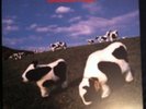 Die Ärzte - Satanische Pferde RED VINYL