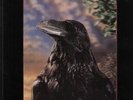 The Stranglers The Raven 3D-COVER NEAR MINT UAR Vinyl LP