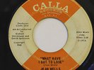 JEAN WELLS-WHAT HAVE I GOT TO LOSE /BROOMSTICK HORSE COWBOY-FUNK 45 on CALLA