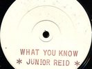 Junior Reid - What You Know / Danny Dread - Girl A Ginal UK Black Roots 12