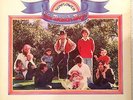 Sunflower by The Beach Boys 1970 Vinyl Reprise Records RS 6382