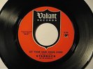 RARE GARAGE PSYCH FUZZ 45 STARBUCK   LET YOUR HAIR HANG LONG   VALIANT   NM/M