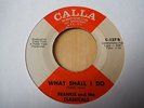 FRANKIE AND THE CLASSICALS - WHAT SHALL I DO - CALLA