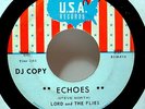 LORD AND THE FLIES - Echoes (USA) - '66 garage rock 7