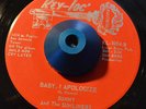 RARE 45 - SUNNY & THE SUNLINERS BABY, I APOLOGIZE/ PUT ME IN JAIL TX Soul LISTEN