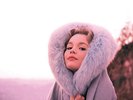 Matthew Sweet - Girlfriend 180G LP REISSUE NEW Velvet Crush, Lloyd Cole
