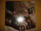 Kin Ping meh-No2,auf ZEBRA rares original