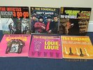 60's Hits -Shadows of Knight, Kingsmen, Invictas, The Standells, The Ventures