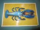 The B-52`s Rock Lobster / Planet Claire shaped Picture Disc very rare LOBSTER