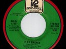 WINDY CITY If By Chance MONO/STEREO Versions Promo Inner Vision '74 #WB 7804 NM