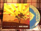 HAVE HEART The Things We Carry LP 1st press on BLUE/YELLOW vinyl out of 260