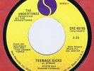 Undertones 45 Teenage Kicks 1979 Punk Rock NM Rare US Pressing Sire SRE 49195