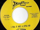 OTIS GOODWIN: I Feel It Just A Little Bit / Sometimes 45 Funk