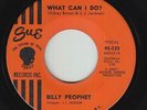 Northern Soul 45 - Billy Prophet - What Can I Do? - Sue - mp3
