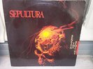 SEPULTURA Beneath The Remains 1989 Poland Press