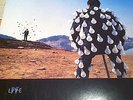 Pink Floyd Delicate Sound of Thunder Live Double Vinyl LP Album