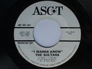 1967 Northern Soul Doo Wop 45 THE SULTANS I Wanna Know / Gloria ASCOT 2228 promo