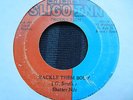 Shatter Nile Hackle Them Body Killer  Digi 7