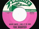 Garage 45 THEE MIDNITERS Never Knew I Had It So Bad/Everybody Needs Somebody