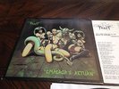 Celtic Frost emperors return 1985 MB vinyl very clean with lyric sleeve metal lp