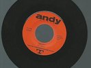 Vinyl/Single/Schallplatte/The Dukes / The Rider-Play a fool/ ANDY-RECORDS