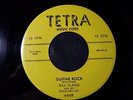 BILL FLAGG & ROCKABILLIES GUITAR ROCK / I'M SO LONELY RARE ROCKABILLY 45  NICE