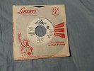 Bobby Vee & The Shadows - Suzie Baby / Flyin High - LIBERTY # 55208 promo