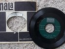 DAVID GATES -YOU'LL BE MY BABY- WHAT'S THIS I HEAR-ROCKABILLY-MALA RECORDS