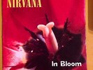 Nirvana -in bloom 7